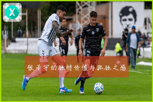 张子宇的独特价值与孤独之感