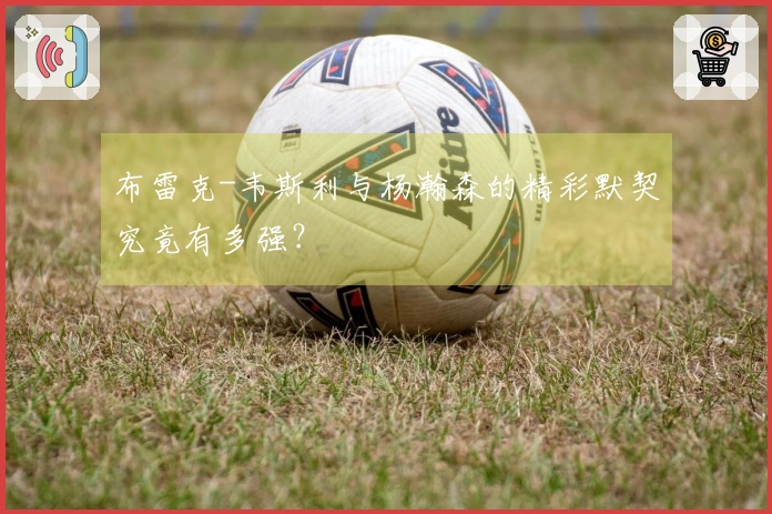 布雷克-韦斯利与杨瀚森的精彩默契究竟有多强？